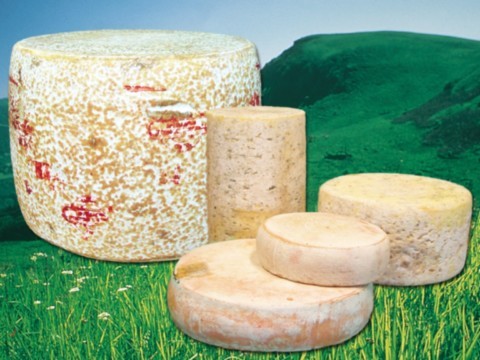 fromages d'auvergne