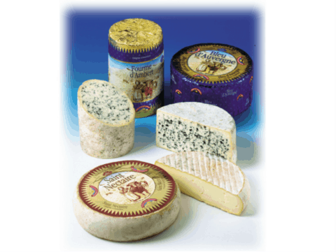 fromages AOP d'auvergne